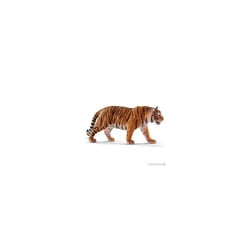14729 Tigre du Bengale mâle