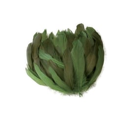 Graine Créative - Plumes nageoire d'oie dégradé vert 20g