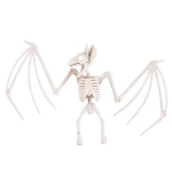 Squelette de chauve-souris