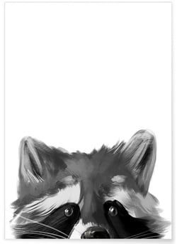 Affiche Racoon | A3 : 29,7x42cm