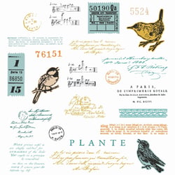 23 tampons transparents - Oiseaux - Avec 5 matrices de découpe Framelits - Sizzix
