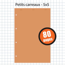 Bloc Notes 21X29,7Cm A4 Petits Carreaux