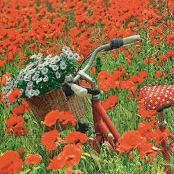 Lot de 4 serviettes en papier découpage collage 33 cm VELO CHAMP DE COQUELICOTS FL 450