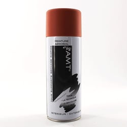 Spray de peinture blush mat 330ml - Amt
