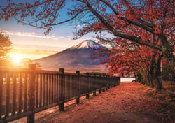Puzzle 1000 pièces - Photo Odyssée : Mont Fuji , Japon - Trefl