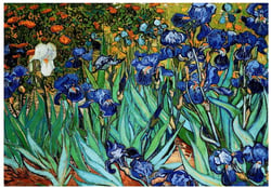 Puzzle 1000 pièces - Van Gogh : Les Iris - Eurographics