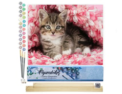 Peinture par Numéro Figured'Art - Chaton enrobé - Kit de Loisir Créatif DIY Numéro d'Art Complet - 40x50cm toile roulée + châssis en bois à monter