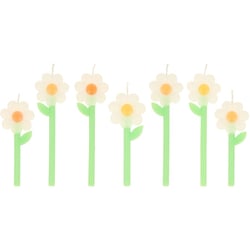 6 Bougies Marguerite