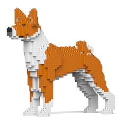 Chien Basenji roux Taille standard | JEKCA | 14 ans et +