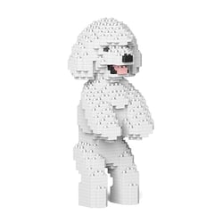 Chien Caniche Nain debout blanc Taille standard | JEKCA | 14 ans et +