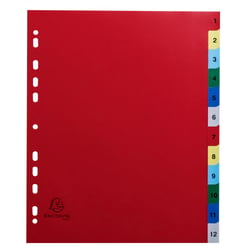 Intercalaires imprimés numériques polypropylène 12/100e - 12 positions - A4 Maxi - Assorties vives - x 20 - Exacompta