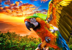Puzzle 1000 pièces - Parrot - Bluebird Puzzle