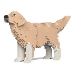 Chien Golden Retriever la queue en l'air pattes sales beige Taille standard | JEKCA | 14 ans et +