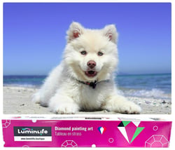 Diamond Painting Broderie Diamant LUMINLIFE 50x70cm, 5D, diamants ronds - Chiot à la mer