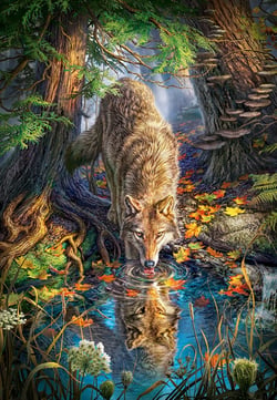 Puzzle 1500 pièces - Loup dans la Forêt - Castorland