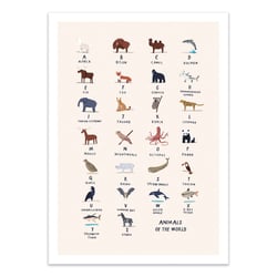 Affiche 30x40 cm - Animal Alphabet - Alex Foster
