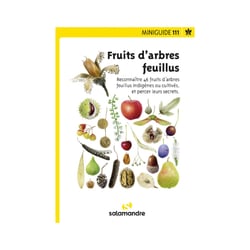 Miniguide 111 - Fruits d'arbres feuillus