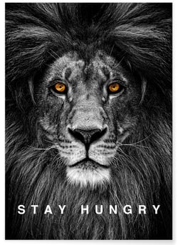 Affiche Motivation Stay Hungry | A3 : 29,7x42cm