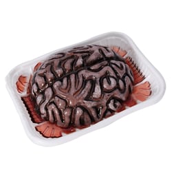 Cerveau factice Halloween avec barquette – 13 cm.