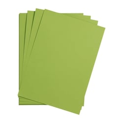 25 feuilles de papier - Vert mousse - A4 - 270g - Lisse - Dessin, loisirs créatifs - Maya