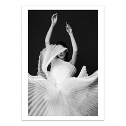 Affiche 30x40 cm - Amadeus - Peyman Naderi
