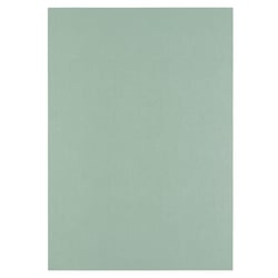 Papier cartonné Florence - Iguana - 100 feuilles - A4 - 250 g/m²