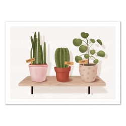 Affiche 50x70 cm - Plant Shelfie - Maja Tomljanovic