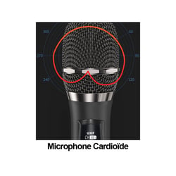 Avizar Microphones sans fil DSP 192KHz Pro pour Ampli / Enceinte Écran LED Portée 50m Bleu / Rouge