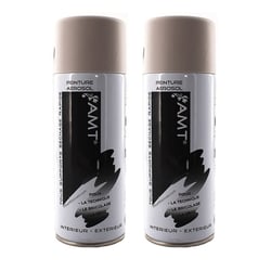 Lot de 2 sprays de peinture - gris clair mat - AMT