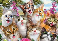 Puzzle 500 pièces - Cats' Selfy - Schmidt Spiele