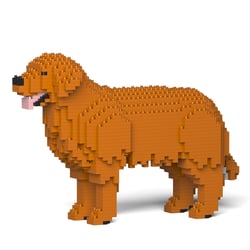 Chien Golden Retriever marron Taille standard | JEKCA | 14 ans et +