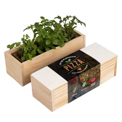 Resetea - Kit d'Auto-culture Pizza - Origan, basilic et tomate cerise