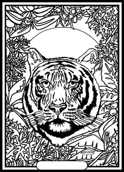 Tableau velours a colorier Tigre Sericolor