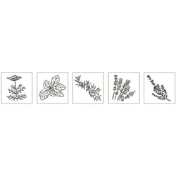 Kit mini - tampons bois:Herbes aromatiques, 5 pces 2x2x2,5cm+accessoires / bte