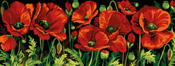 Canevas antique Coquelicots 25x60cm