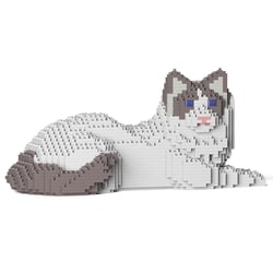 Chat Ragdoll gris clair couché | JEKCA | 14 ans et +