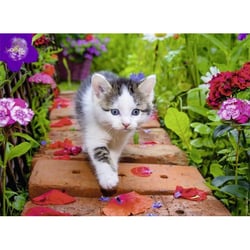 Puzzle chaton au jardin 500 pieces - collection tendresse - nathan - 87185