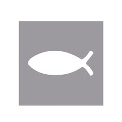 Perforatrice : Poisson, 1,6cm, (5 / 8"), 1 pce.