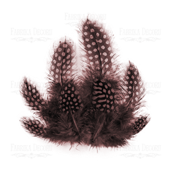 Plumes embelissement décoration scrapbooking Fabrika Décoru MARRON 042