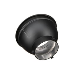 GODOX AD-R6 bol argenté monture S