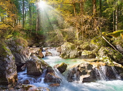 Puzzle 2000 pièces - Le Ruisseau de la Forêt - Castorland