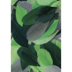 Plumes coupées camaieu vert 10g 6cm