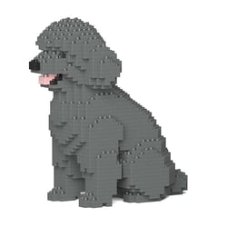 Chien Caniche Nain assis gris Taille standard | JEKCA | 14 ans et +