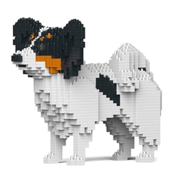 Chien Papillon noir Taille standard | JEKCA | 14 ans et +