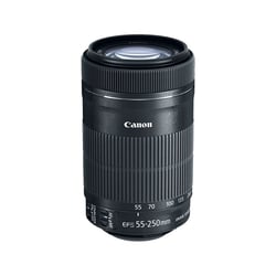 CANON Objectif EF-S 55-250mm f/4-5,6 IS STM