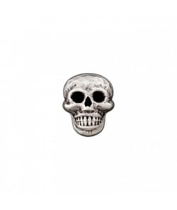 Carte de 2 boutons Tête de mort 18mm - Prym Gris