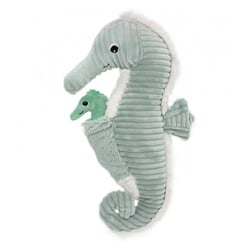 ptipotos hippocampe papa bebe menthe - Les D glingos