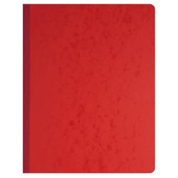 Piqûre 32x25cm à tête paresseuse 8 colonnes sur 1 page - 31 lignes - 80 pages - Couleurs assorties - Exacompta