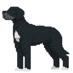 Chien Dogue Allemand noir Taille standard | JEKCA | 14 ans et +
