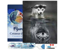 Diamond Painting Broderie Diamant Figured’Art 40x50cm toile tendue sur châssis en bois - diamants carrés - Chien et Reflet de Loup